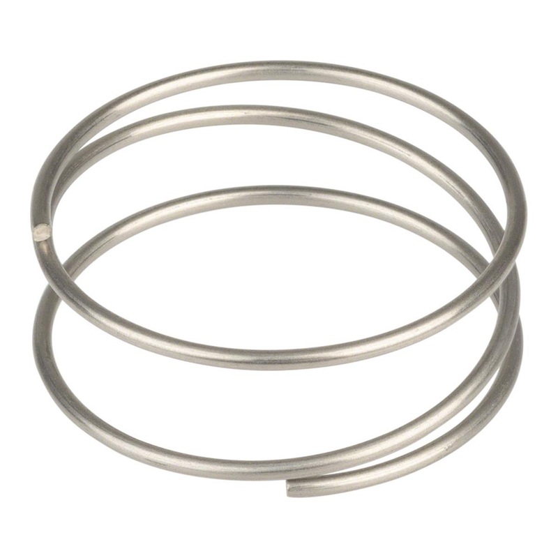 DT Swiss Driver Spring (Ratchet EXP)