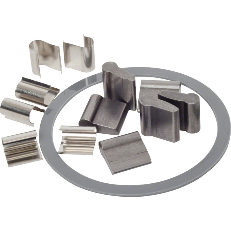 Stan's Neo Hub Spring & Pawl Kit (For Neo/Neow OS/Crest/Arch/Flow)