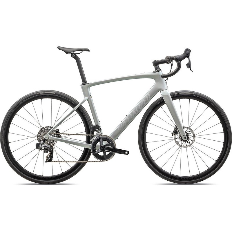2025 Specialized roubaix expert bike gloss dove grey/chameleon lapis  61