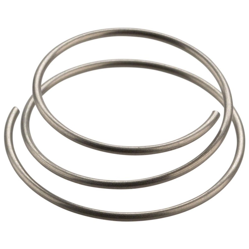 DT Swiss Star Ratchet Spring (For All Star Ratchet Hubs)