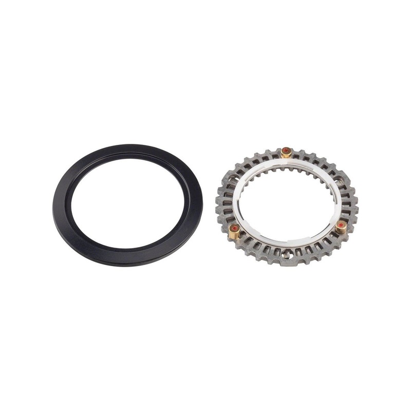 Zipp Cognition NSW Clutch Assembly and Seal (Rear Wheel)