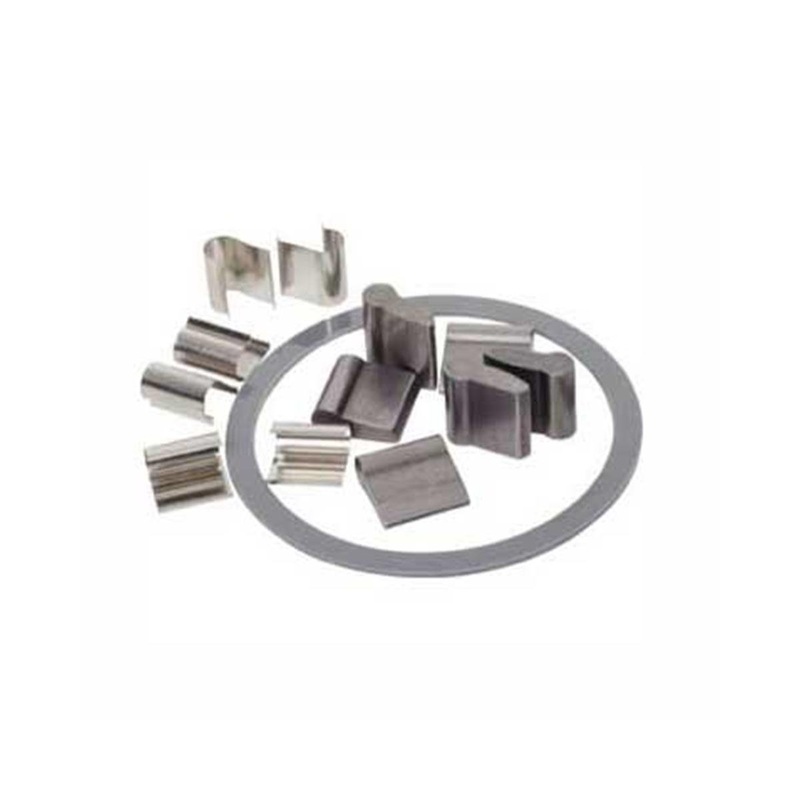 Stan's M-Pulse Pawl & Magnet