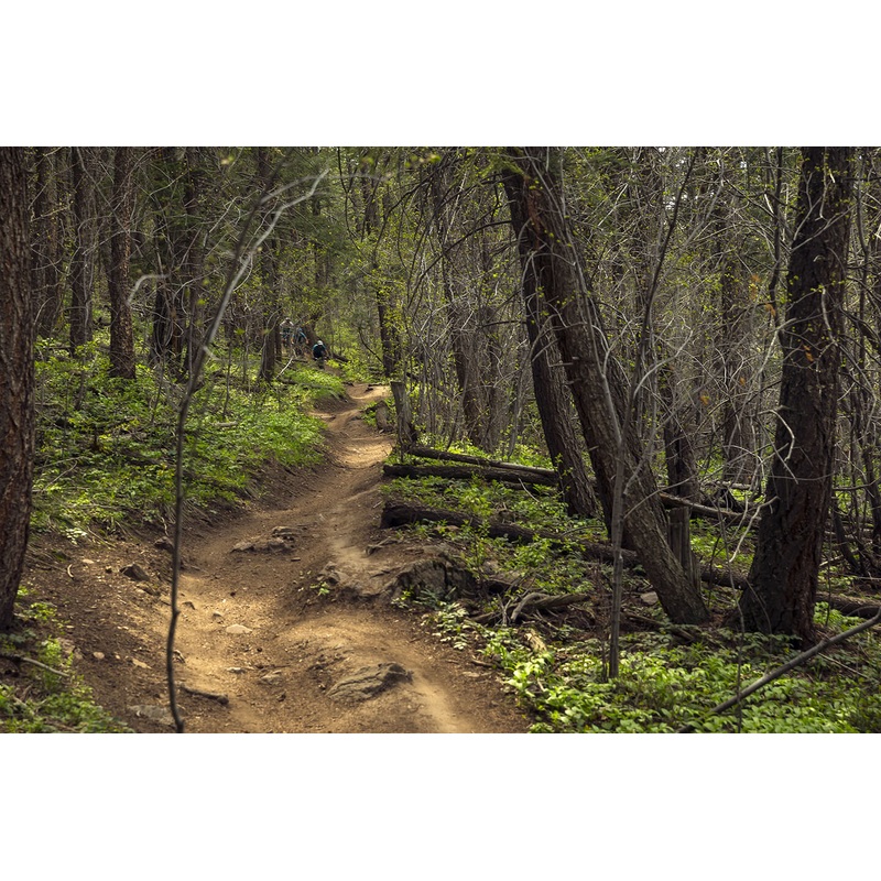 Yeti Cycles Women’s Vista S/S Jersey