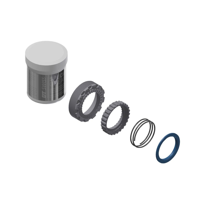 DT Swiss 30 Step OS Star Ratchets, Springs & Grease