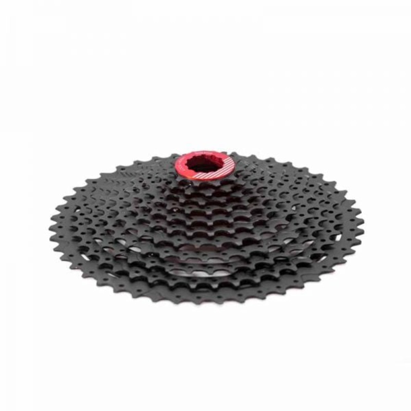 Pan Pignoni Box Two 11S