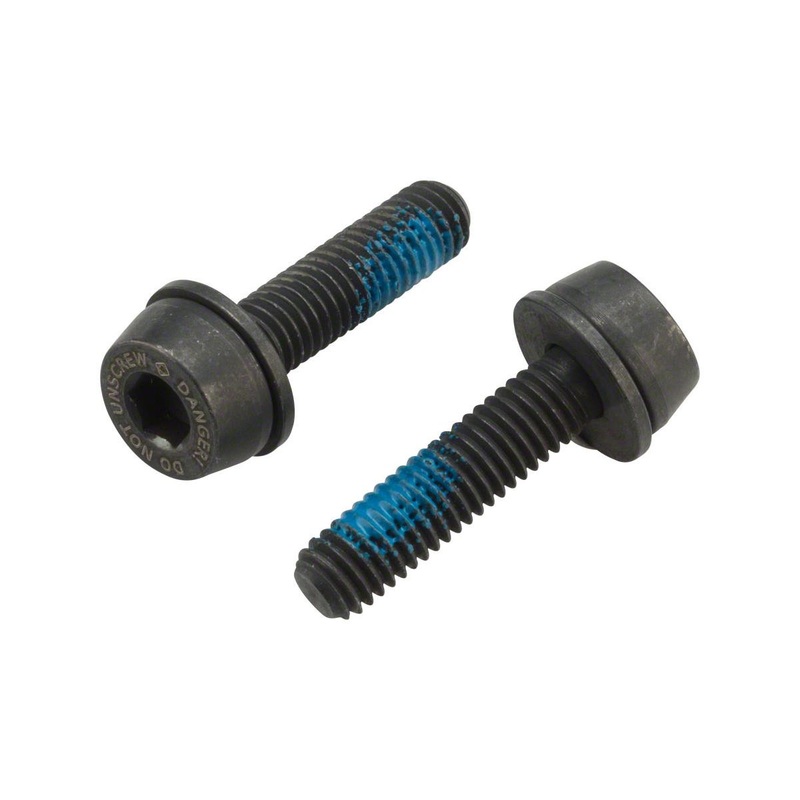 Campagnolo H11 Disc Brake Caliper Mounting Bolts (Black) (Flat Mount) (19mm)