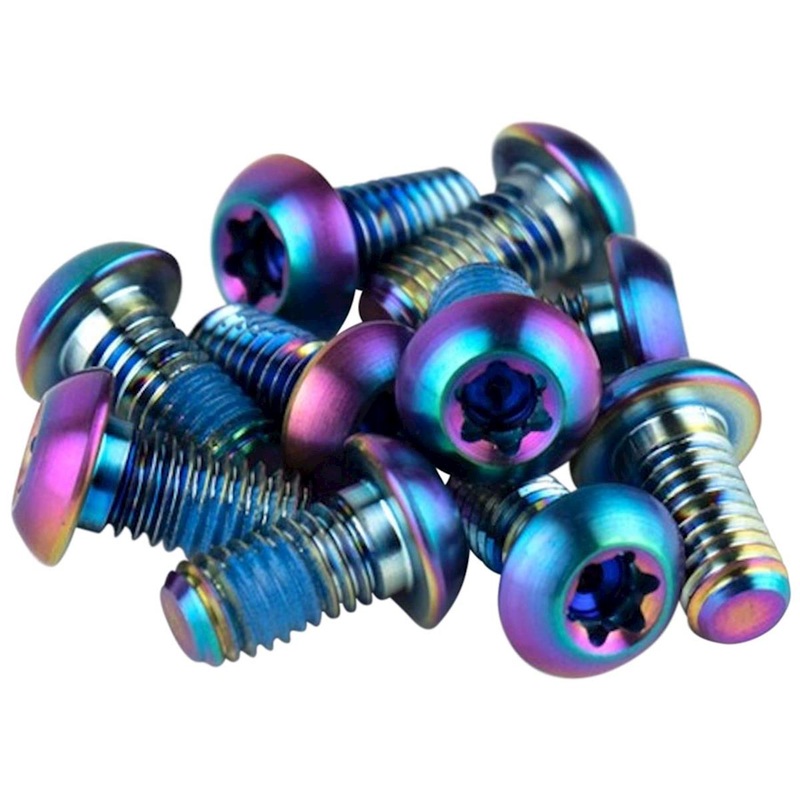 SRAM Titanium Rotor Bolt Kit (Rainbow) (T25) (Set of 12)